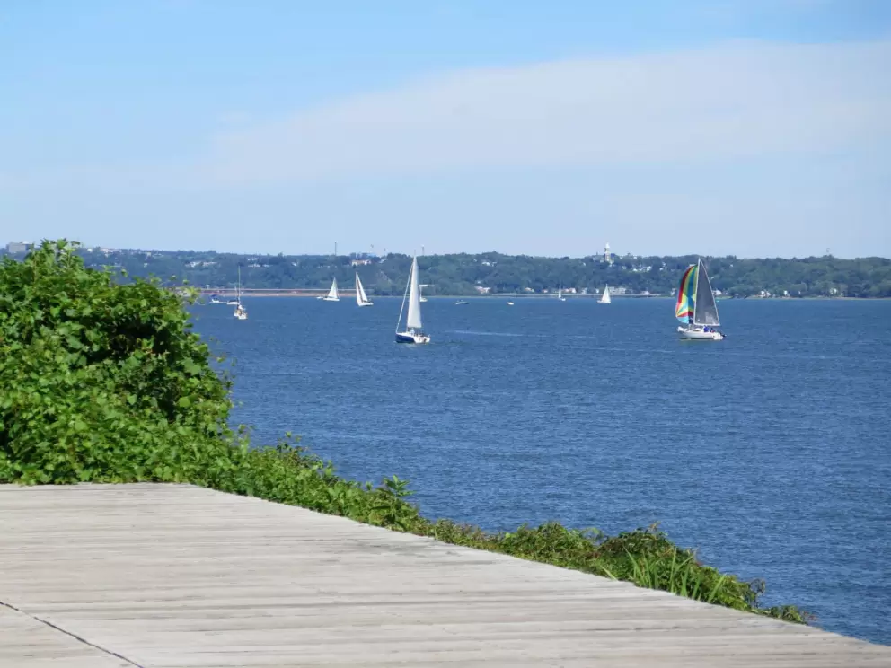 Sailboats on the weekend. 