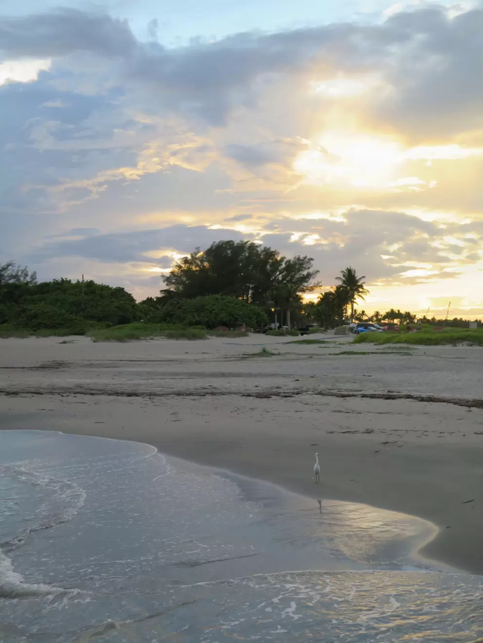 Looking back at the beach from the jetty. 