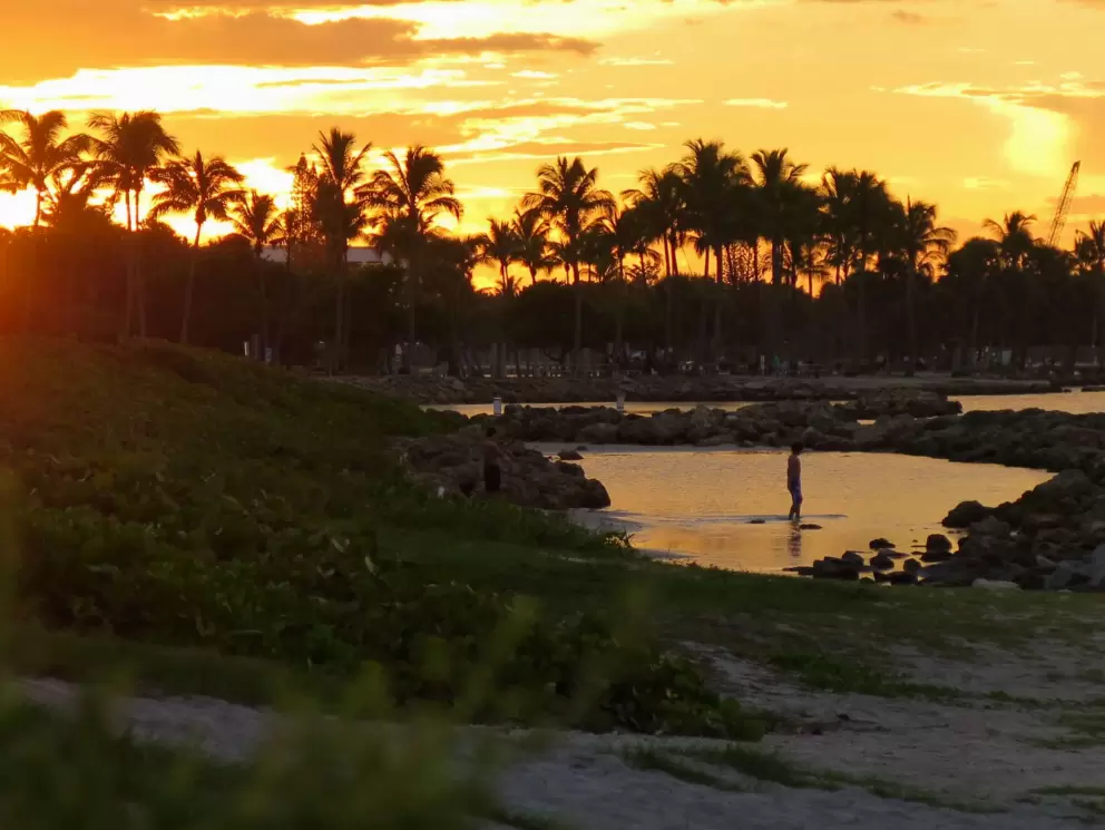 Wading in the rock pool. 