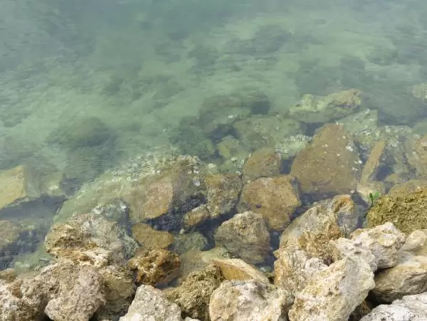 The clear water. 