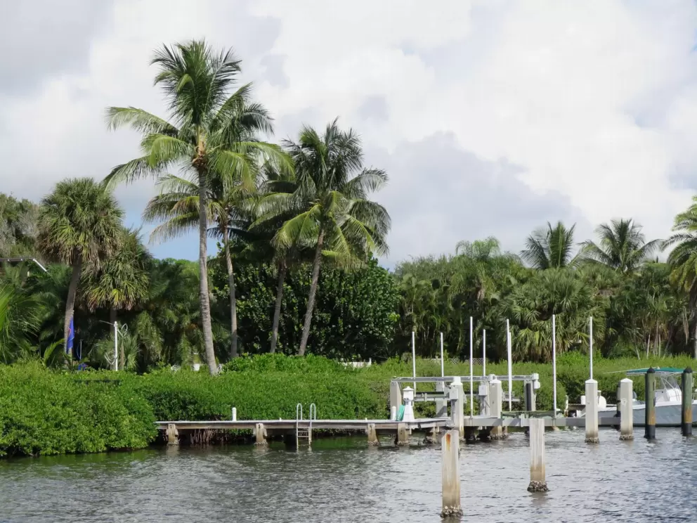 Docks and coconut trees. 