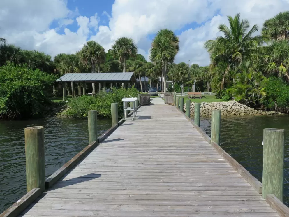 Looking back at the park from the pier. 