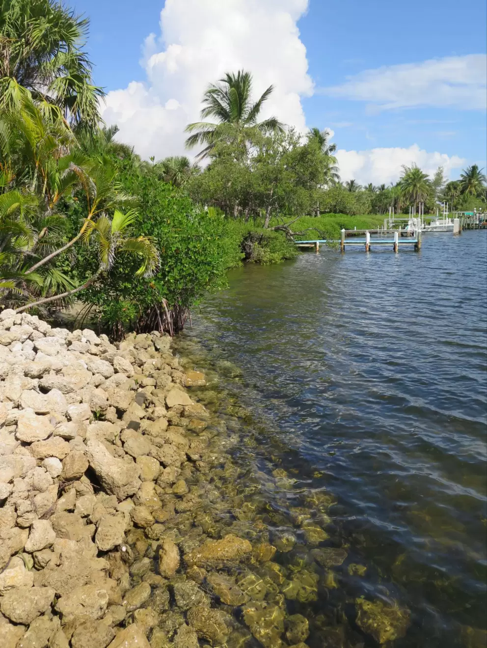 Rocks at the shore. 
