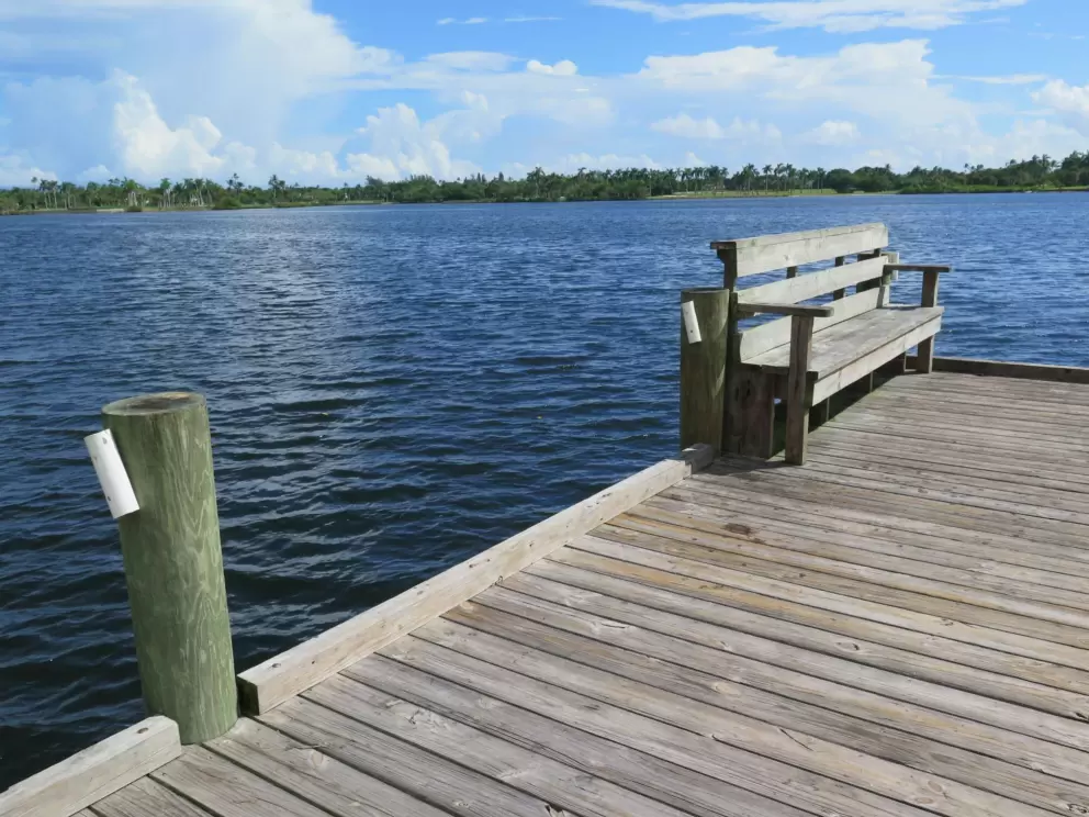 Bench and fishing pole holder, at the pier. 