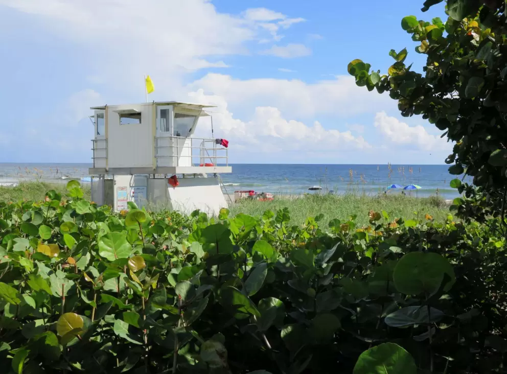 The lifeguard stand and blue water. 