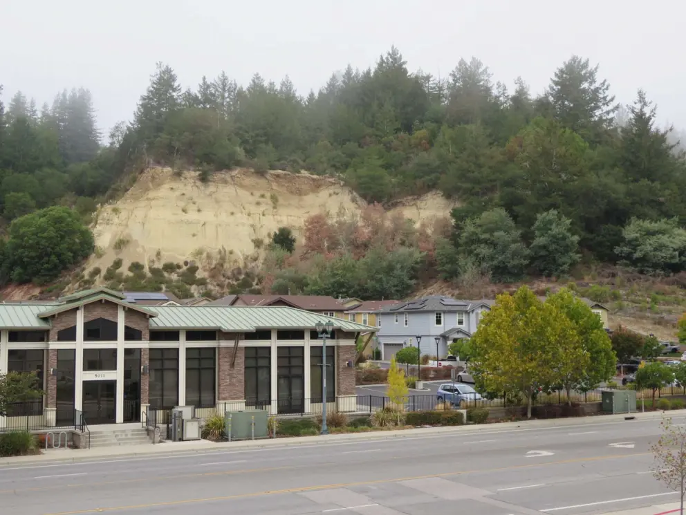 Sandstone cliffs along Scotts Valley Drive. 