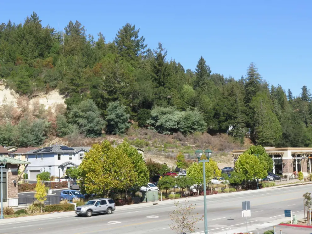 Sandstone cliffs and beautiful trees. 