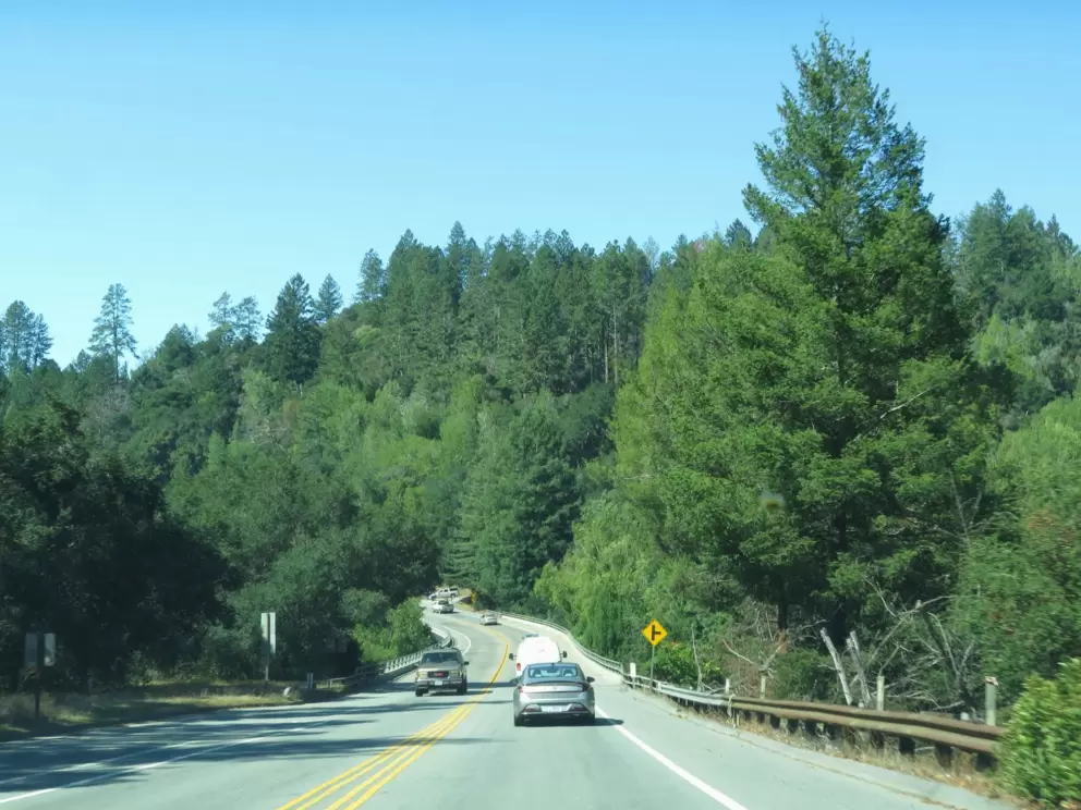 Driving through Scotts Valley is pure joy. 