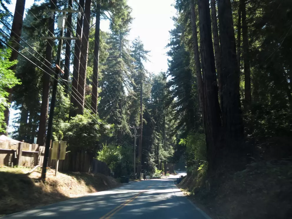 Driving on Highway 9 through thick forest. 