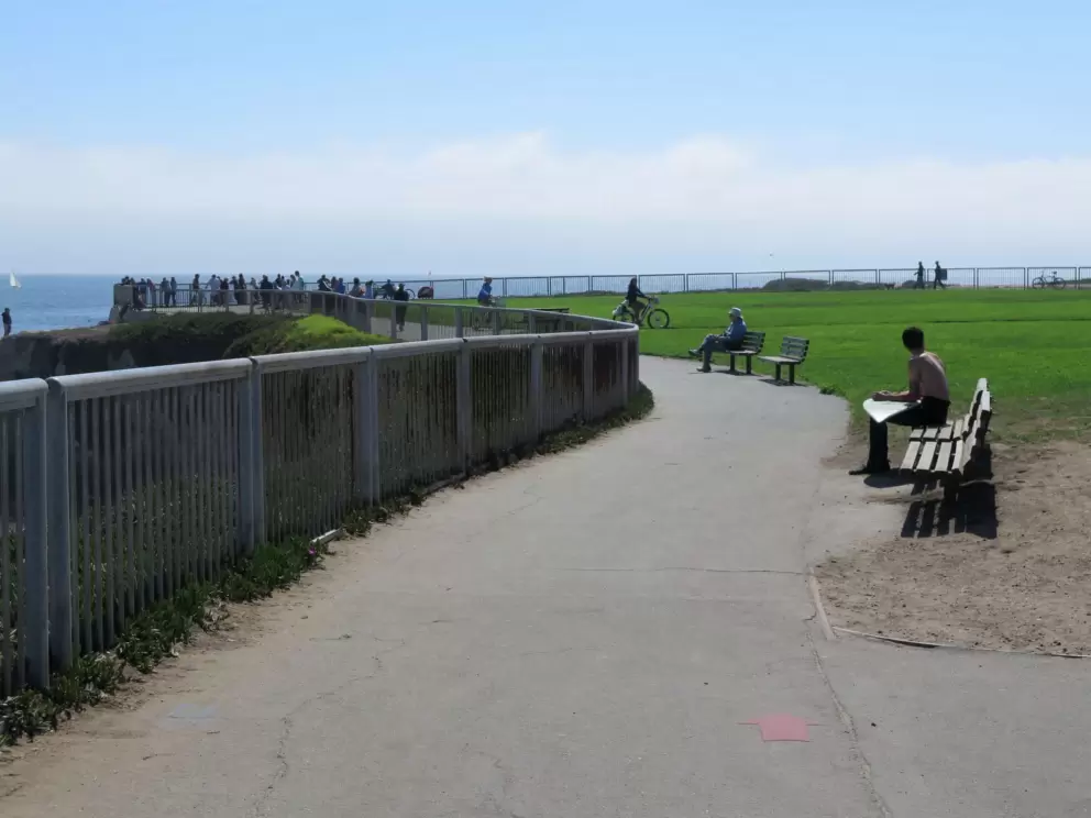 The path and benches. 