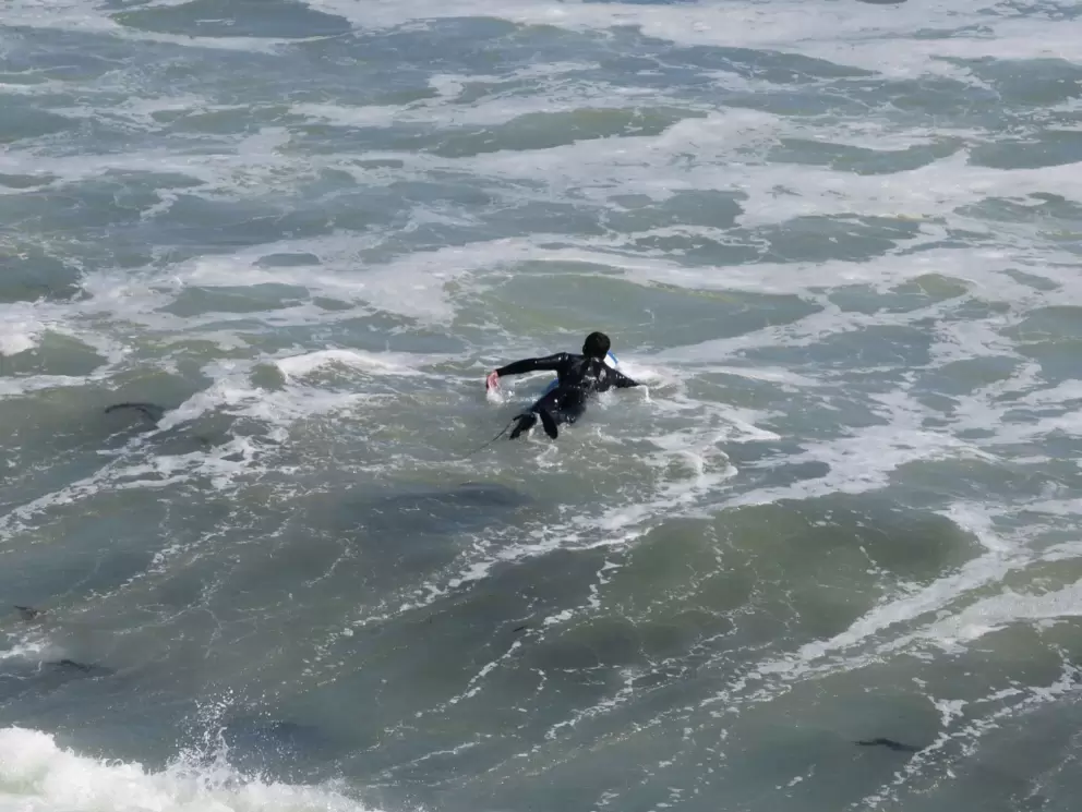 A surfer paddles out. 