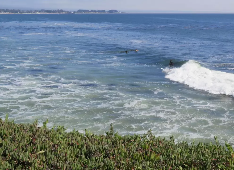 A surfer rides a wave. 