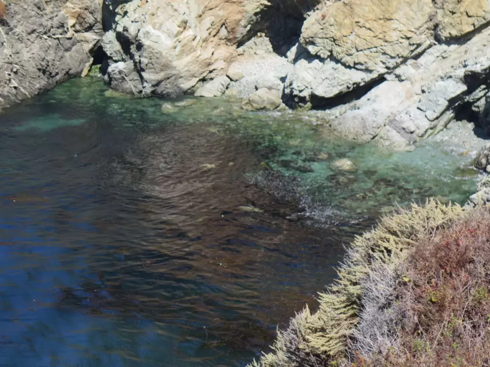 Teal-colored water at Kasler Point. 