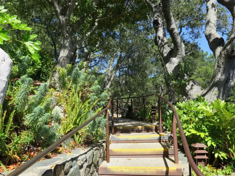 Stairs going up to the deck at Nepenthe. 