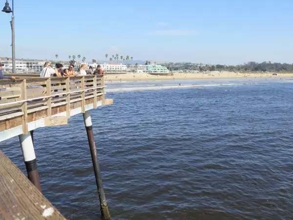 People watching whales from the pier. 