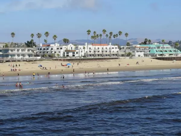 The pretty hotels and palm trees along the beach. 