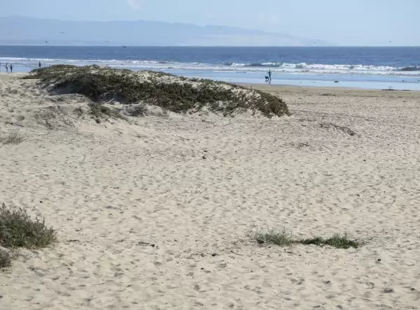 Dunes at the southern end of the promenade. 