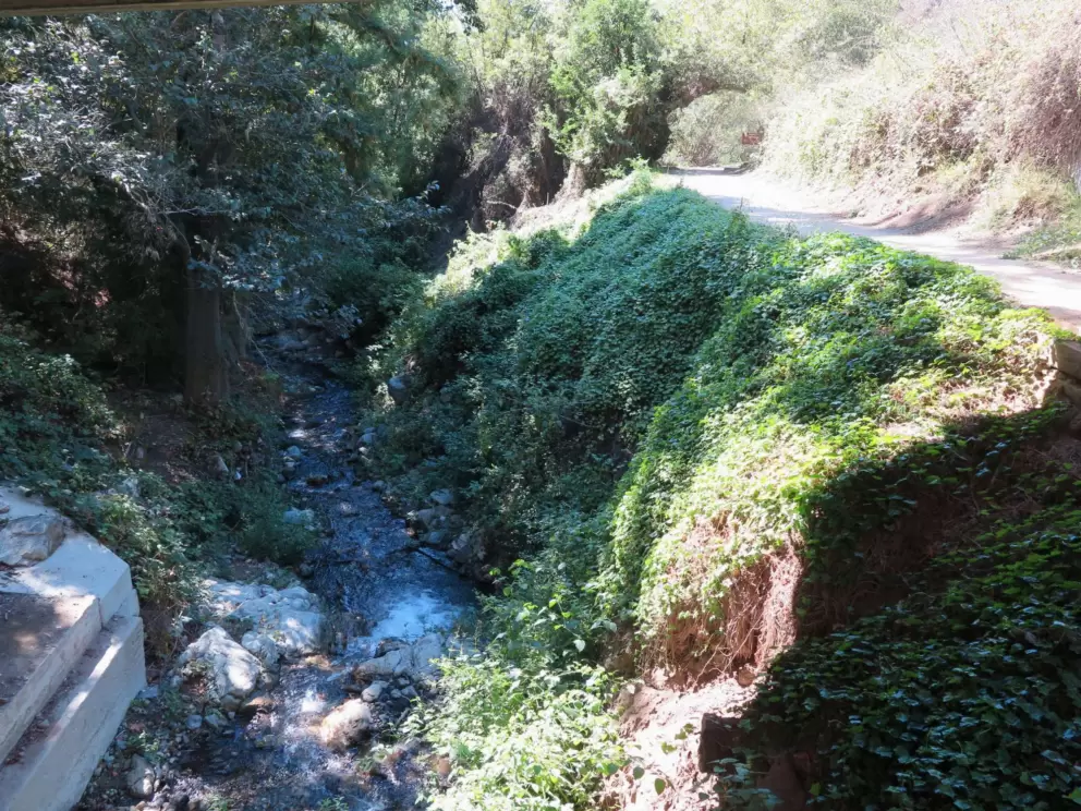 Stream along the path, at Julia Pfeiffer Burns State Park. 