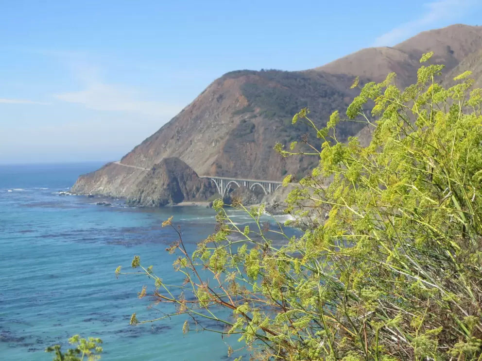 Big Creek Bridge and headland. 