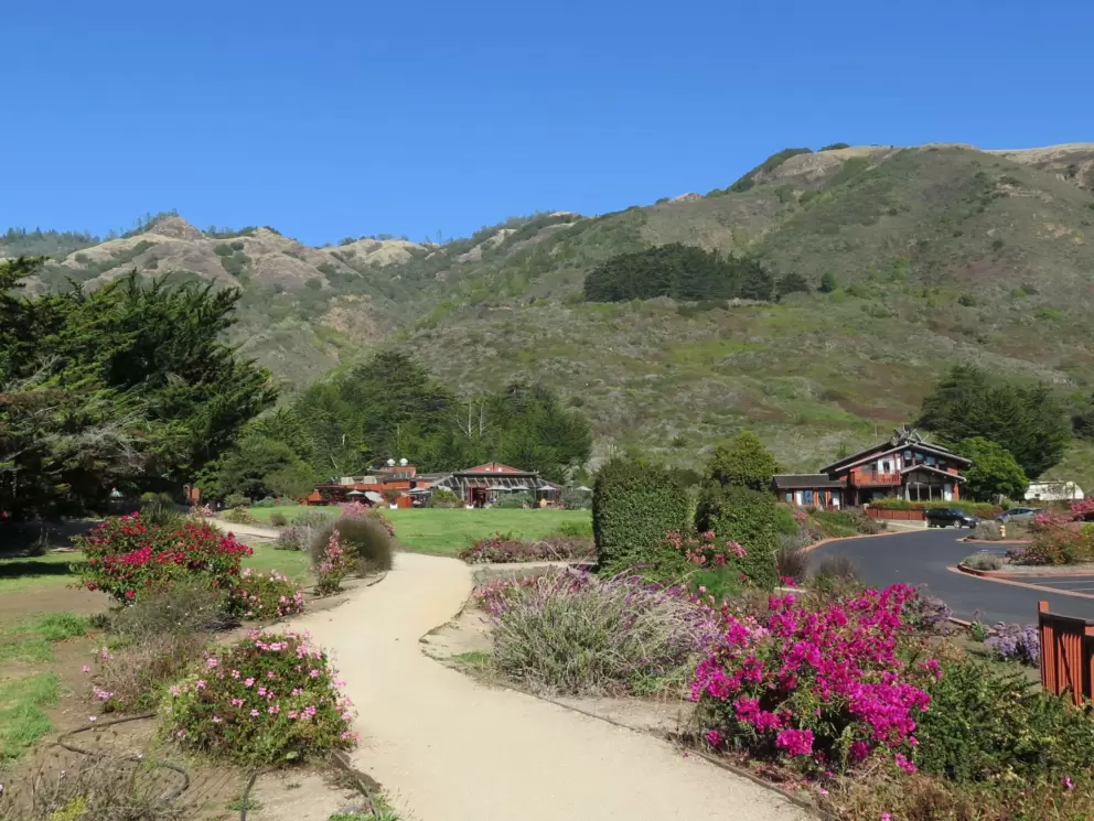Flowers and path at Ragged Point. 