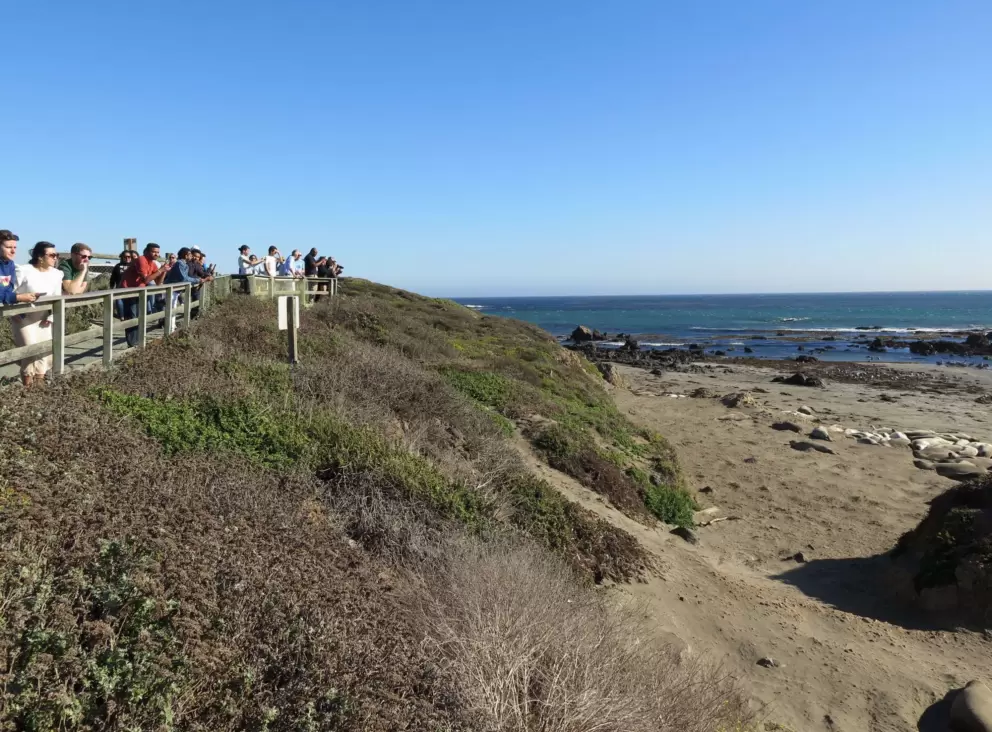 Visitors look from the viewing area. 