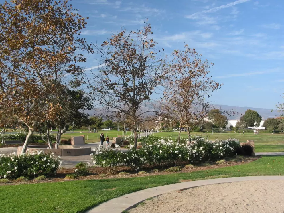 The flowers at Girsh Park.
