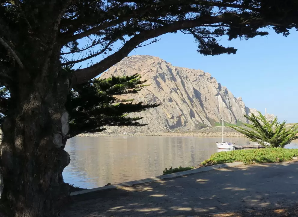 Shady spot as you start the walk. 