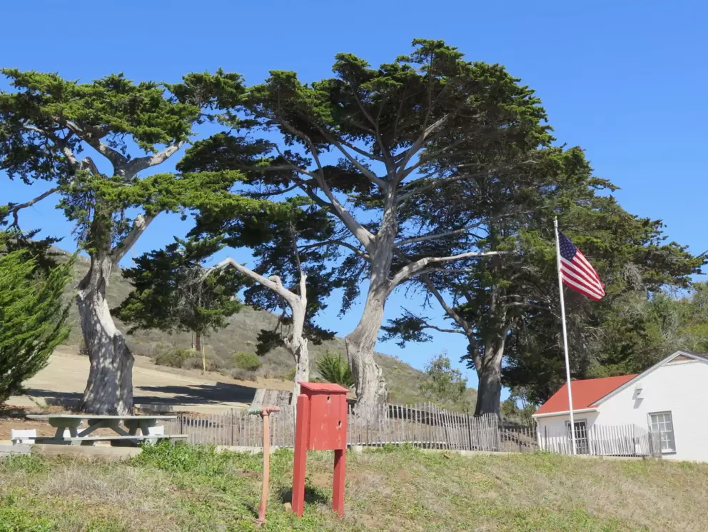 Cypress trees and flag on the large property. 