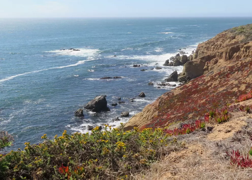 The coastline north of the lighthouse. 