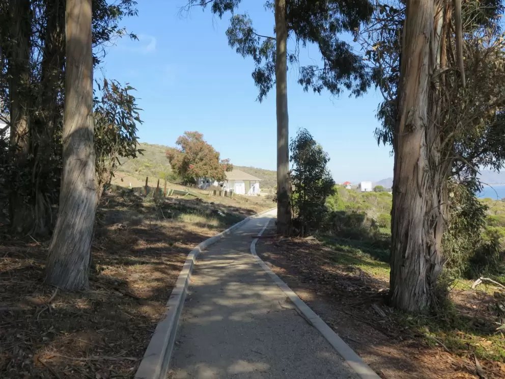 Path in the shade. 
