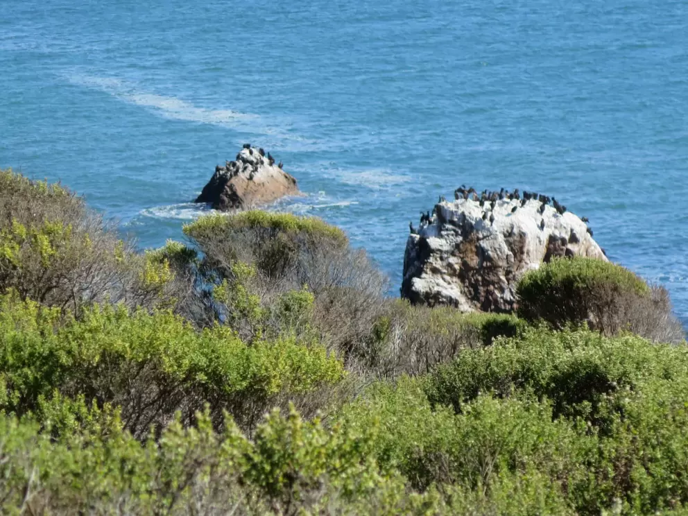 Birds on rocks jutting out of the sea. 