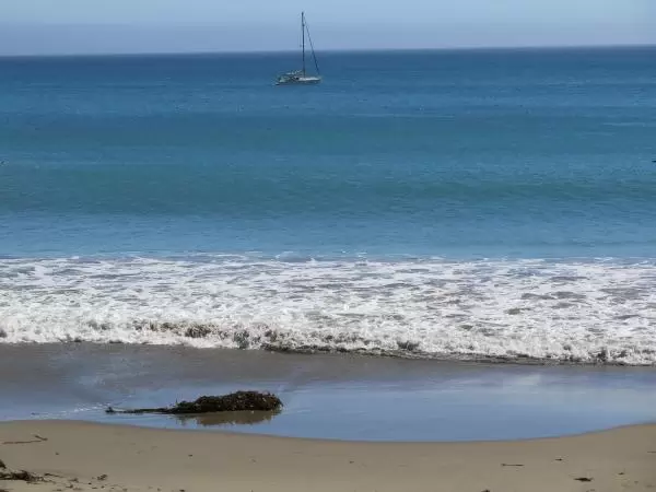 Kelp on the shore, sailboat, and bright blue sea. 