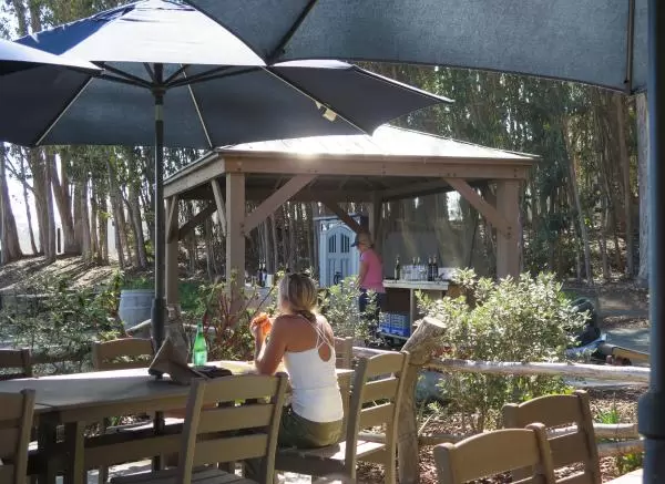 Sitting by the woods, at the tables for non-wine-tasters, at Hearst Ranch Winery. 