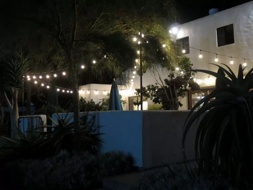 Strung lights outside at Natural Cafe, one of my favorite cafes in Santa Barbara, on Hitchcock Way, behind the mall. 