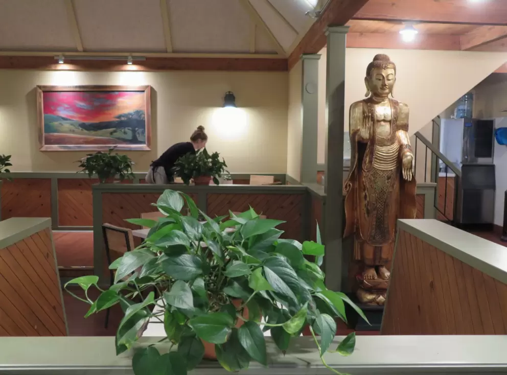 Lovely interior of Natural Cafe, on Hitchcock Way, behind the mall. 