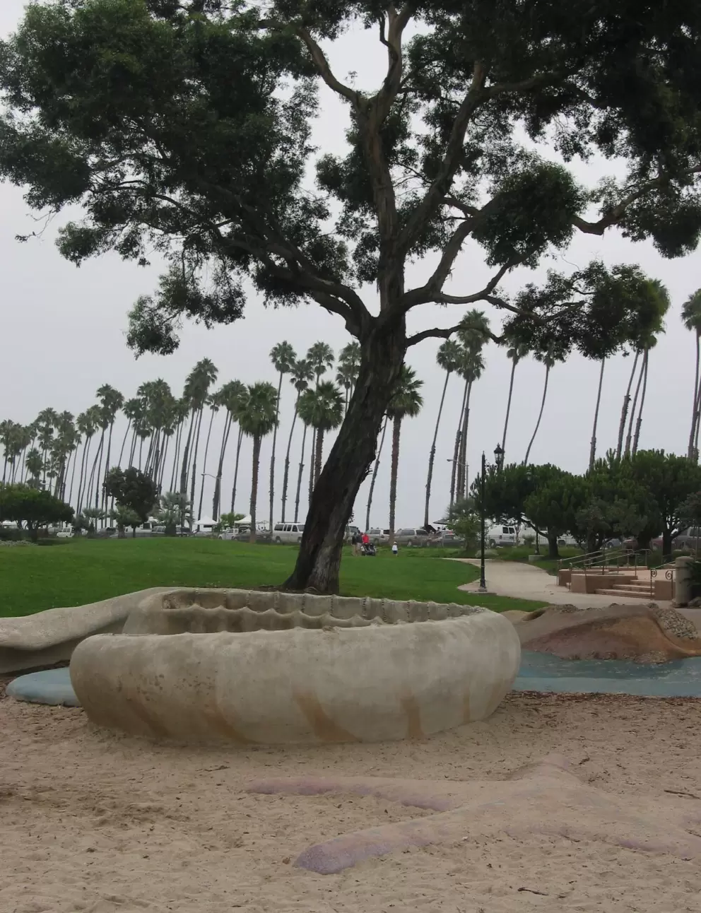 The starfish to stand on and shell to play in, plus a ton of trees!