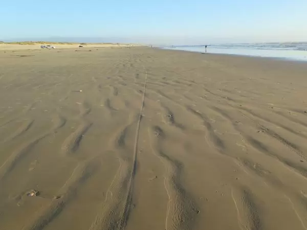 The patterns on the wide shore. 