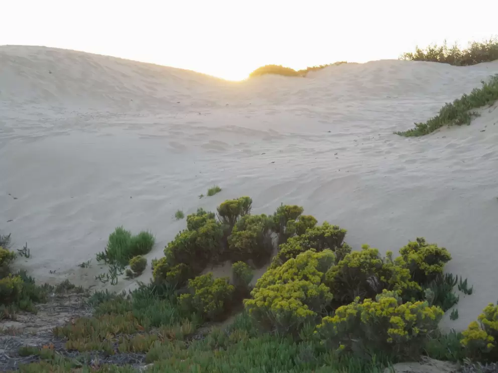 The sun sets behind the white dunes. 