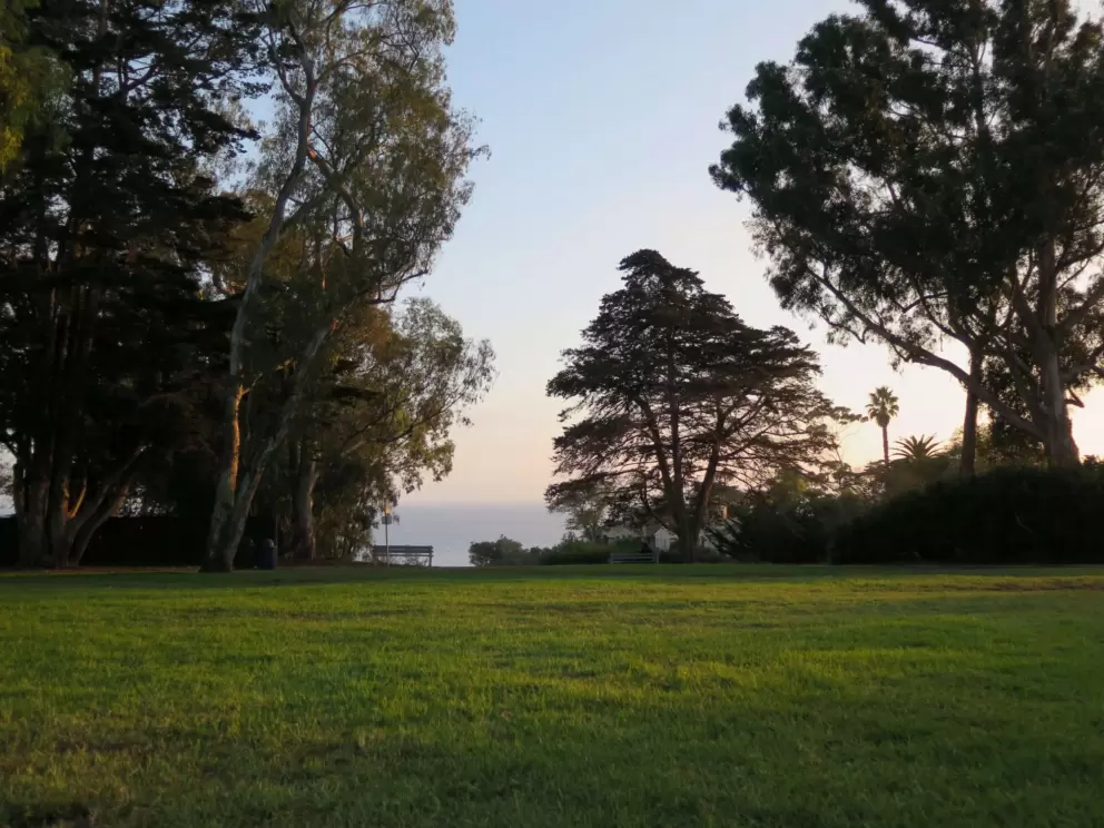 Golden light shining on the lawn, and sea in the distance. La Mesa Park is pure beauty!