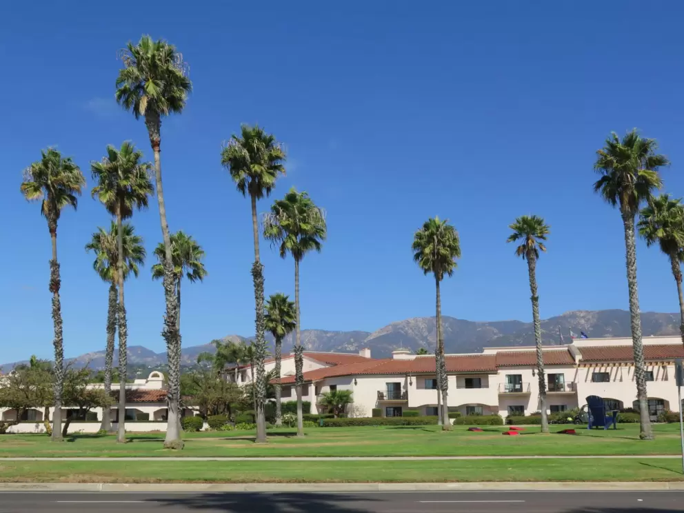 The many palms, and mountains behind.
