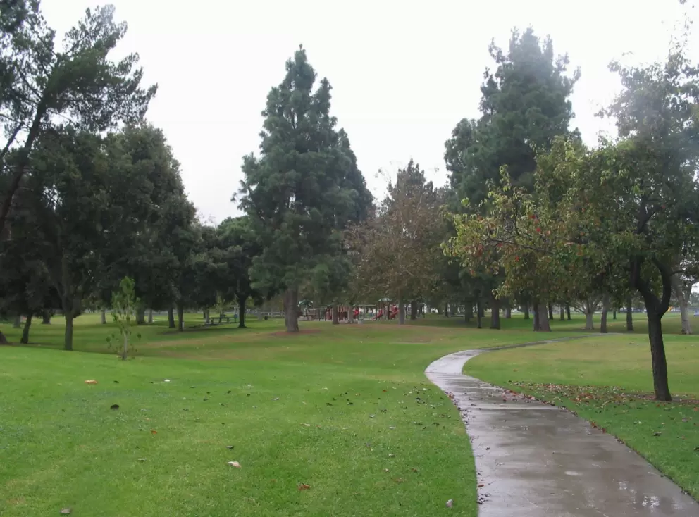 A winding path on a rainy day.
