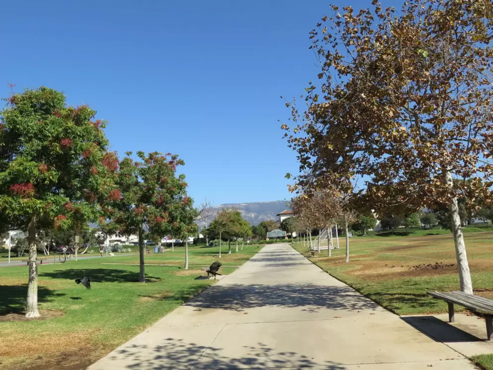 The wide path through the center of the park. 