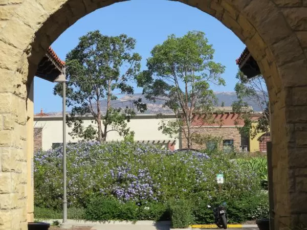 The archway with mountain and eucalyptus tree views. 