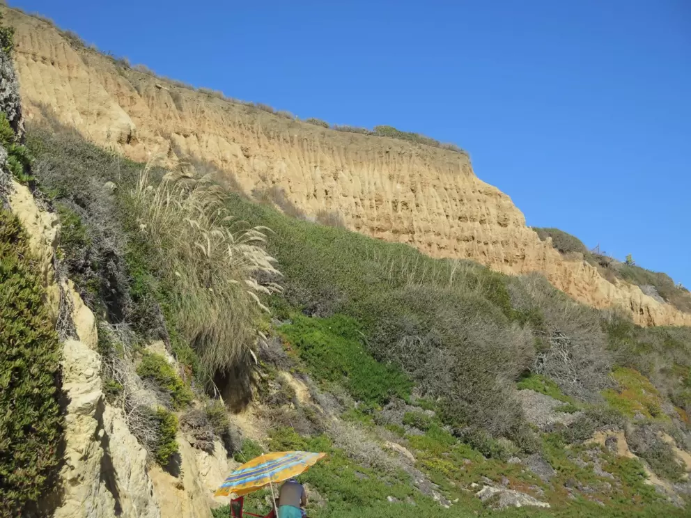 The golden cliffs and pampas grass. 
