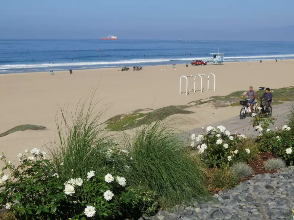 Landscaping with roses, pebbles, and ornamental grasses, plus bike riders below. 