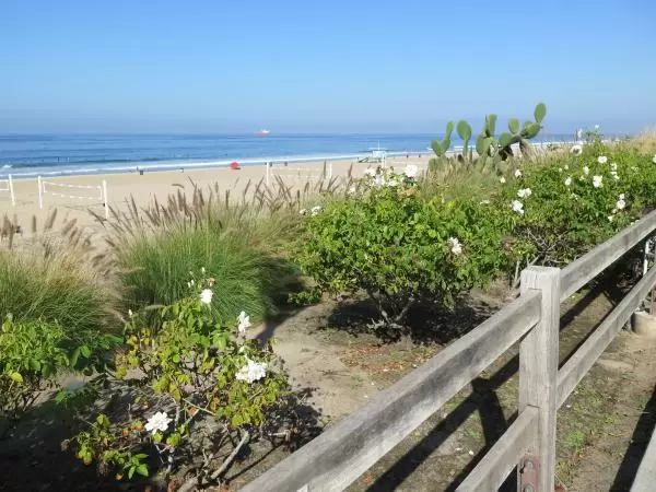 Fence and garden, above the sea. 