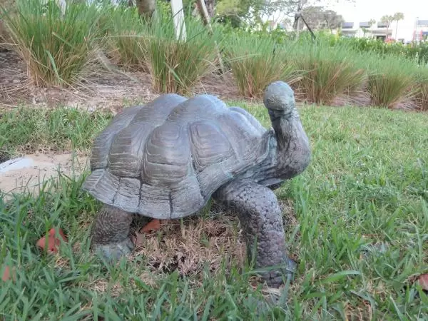 Tortoise sculpture. 