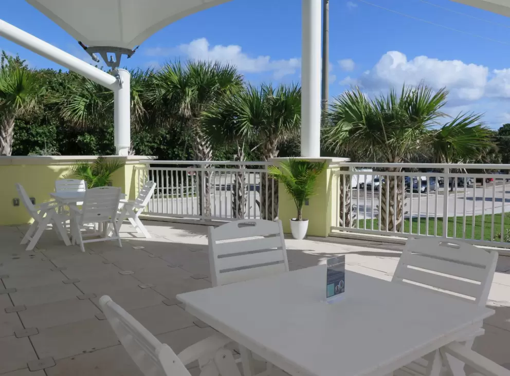 Balcony and cabbage palms. 