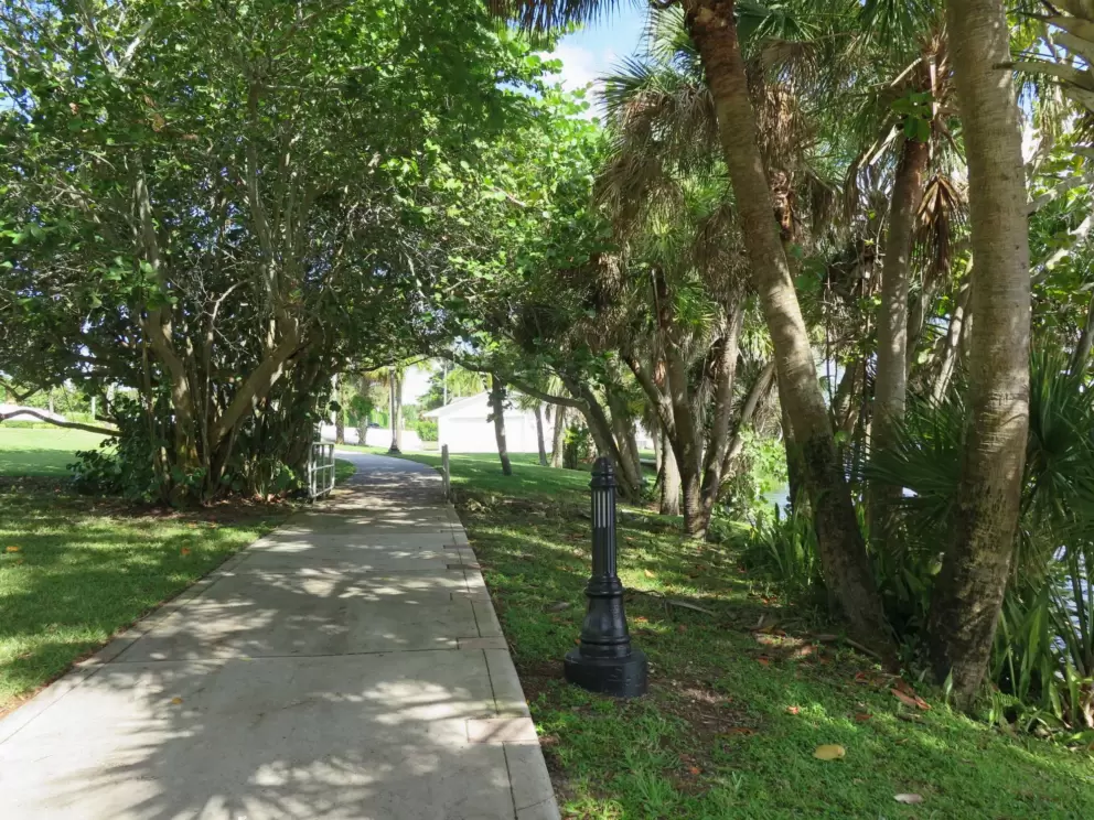 Shady part of the walk. 