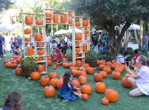 Pumpkin patch for photo ops, in October. 